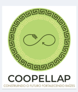 O logo aparece com uma esfera na qual predomina tonalidade verde. As bordas contêm detalhes em verde-escuro e em branco, enquanto uma linha que forma o símbolo do infinito aparece ao centro. O nome da Coopellap e a mensagem Construindo o futuro, fortalecendo raízes aparecem na parte inferior.