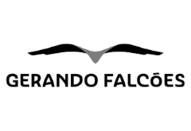 Logo da Gerando Falcões. Há, na parte superior, o desenho minimalista de um falcão nas cores cinza e preta. O nome da organização está legível logo abaixo.